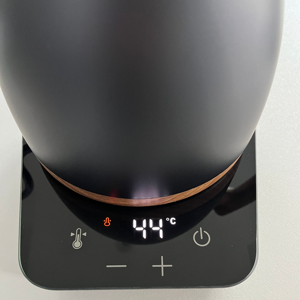 Steamly Flow - Bouilloire Col de Cygne