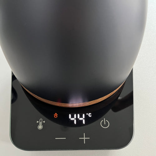 Steamly Flow - Bouilloire Col de Cygne